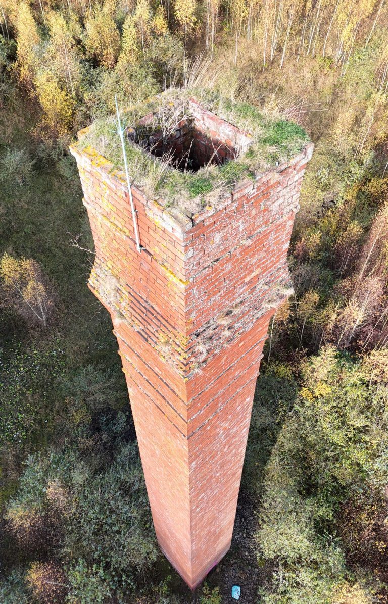 Tall, crumbling brick chimney with an overgrown top in a wooded area.