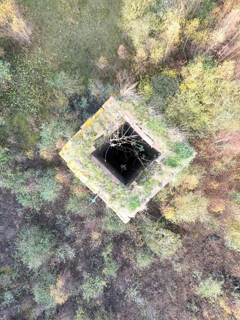 Aerial view of an overgrown, chimney top.