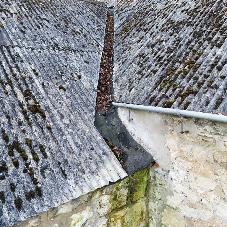 A narrow gap between two grey, moss-covered corrugated asbestos rooftops with leaves collected inside.
