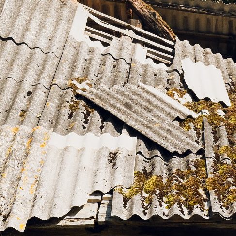 Weathered corrugated asbestos roof with rust and plants growing through the gaps.