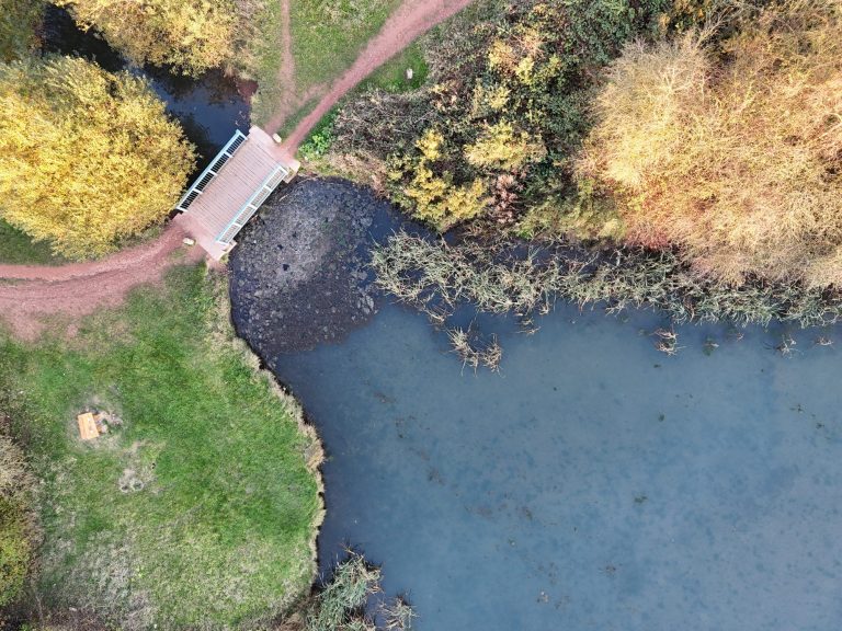 Aerial view of a pond with a wooden bridge and surrounding trees in autumn.